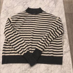 Everlane Striped Cashmere Turtleneck